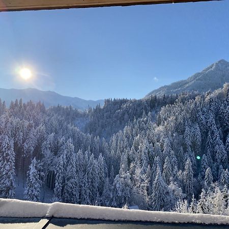 Wohnung Staufenblick Und Wohnung Firstblick Dornbirn Dış mekan fotoğraf