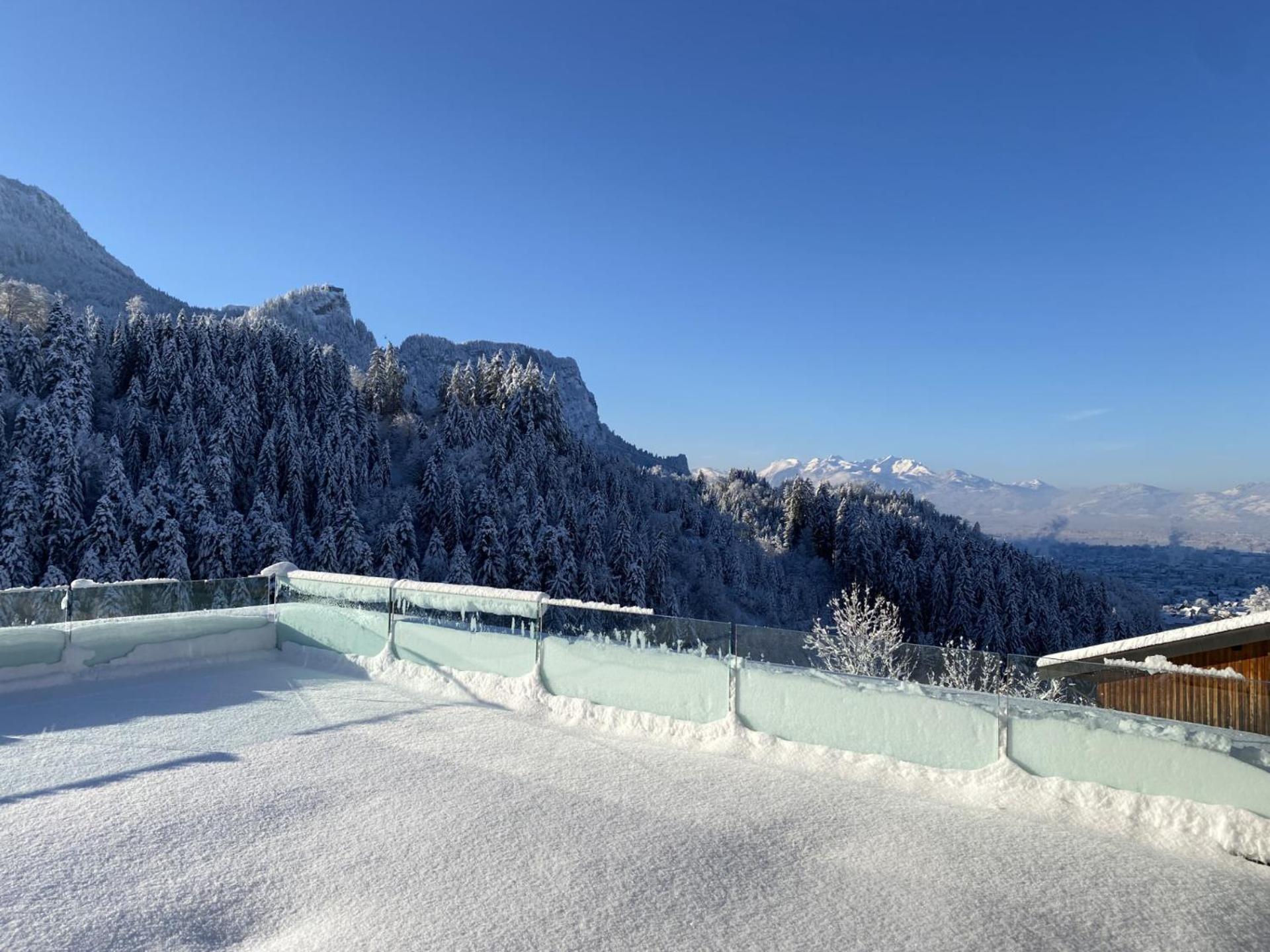 Wohnung Staufenblick Und Wohnung Firstblick Dornbirn Dış mekan fotoğraf