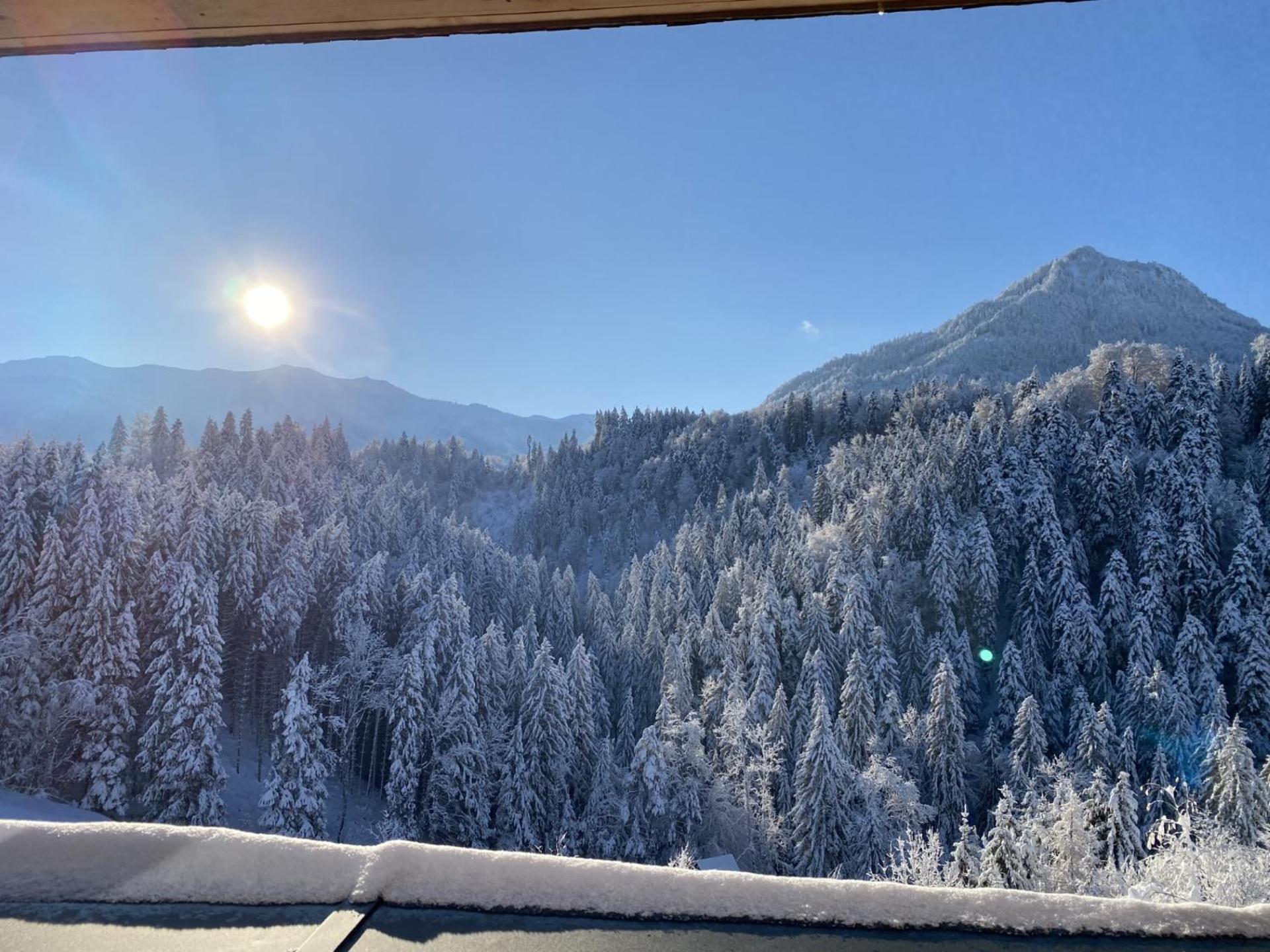 Wohnung Staufenblick Und Wohnung Firstblick Dornbirn Dış mekan fotoğraf