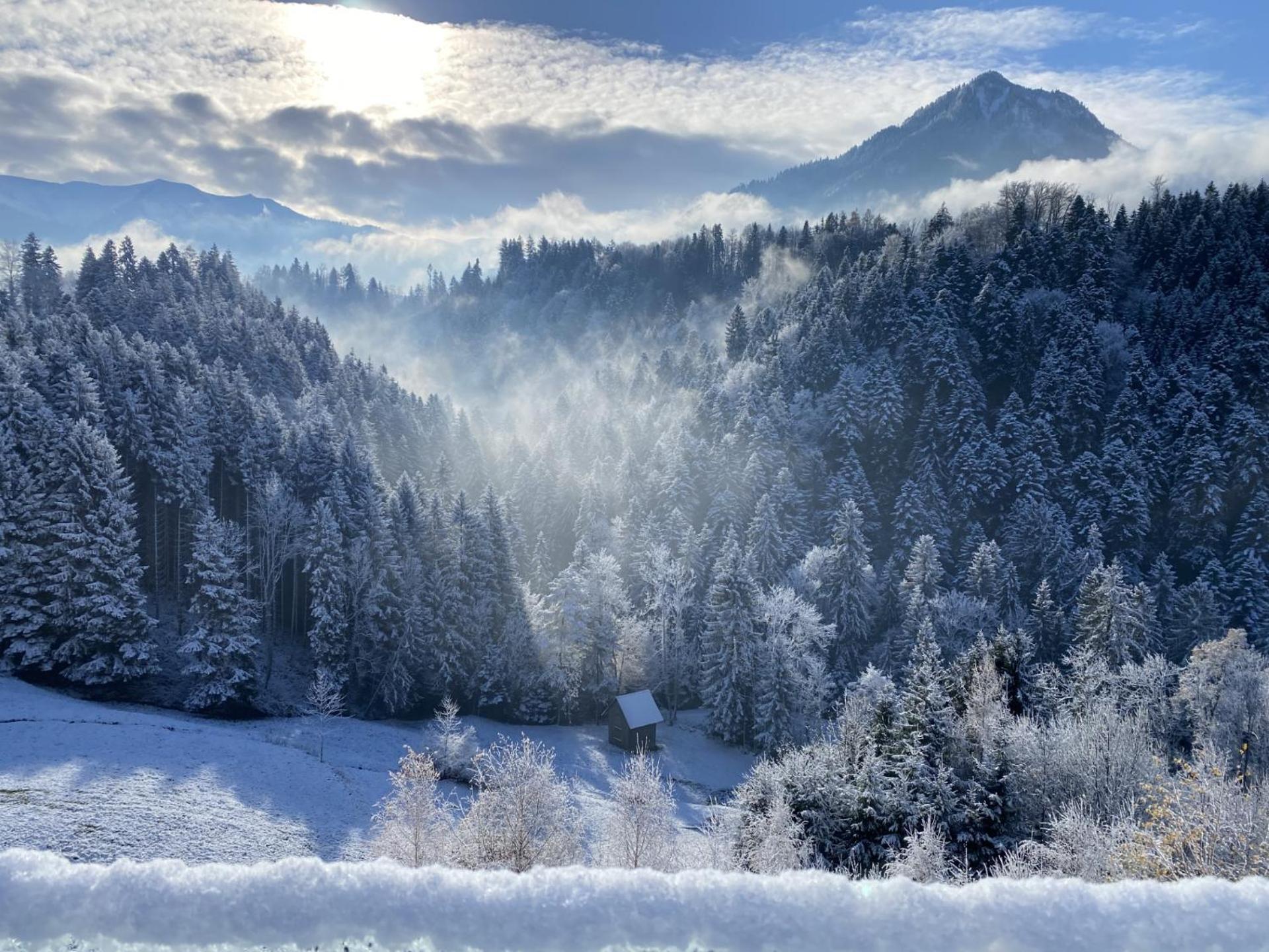 Wohnung Staufenblick Und Wohnung Firstblick Dornbirn Dış mekan fotoğraf