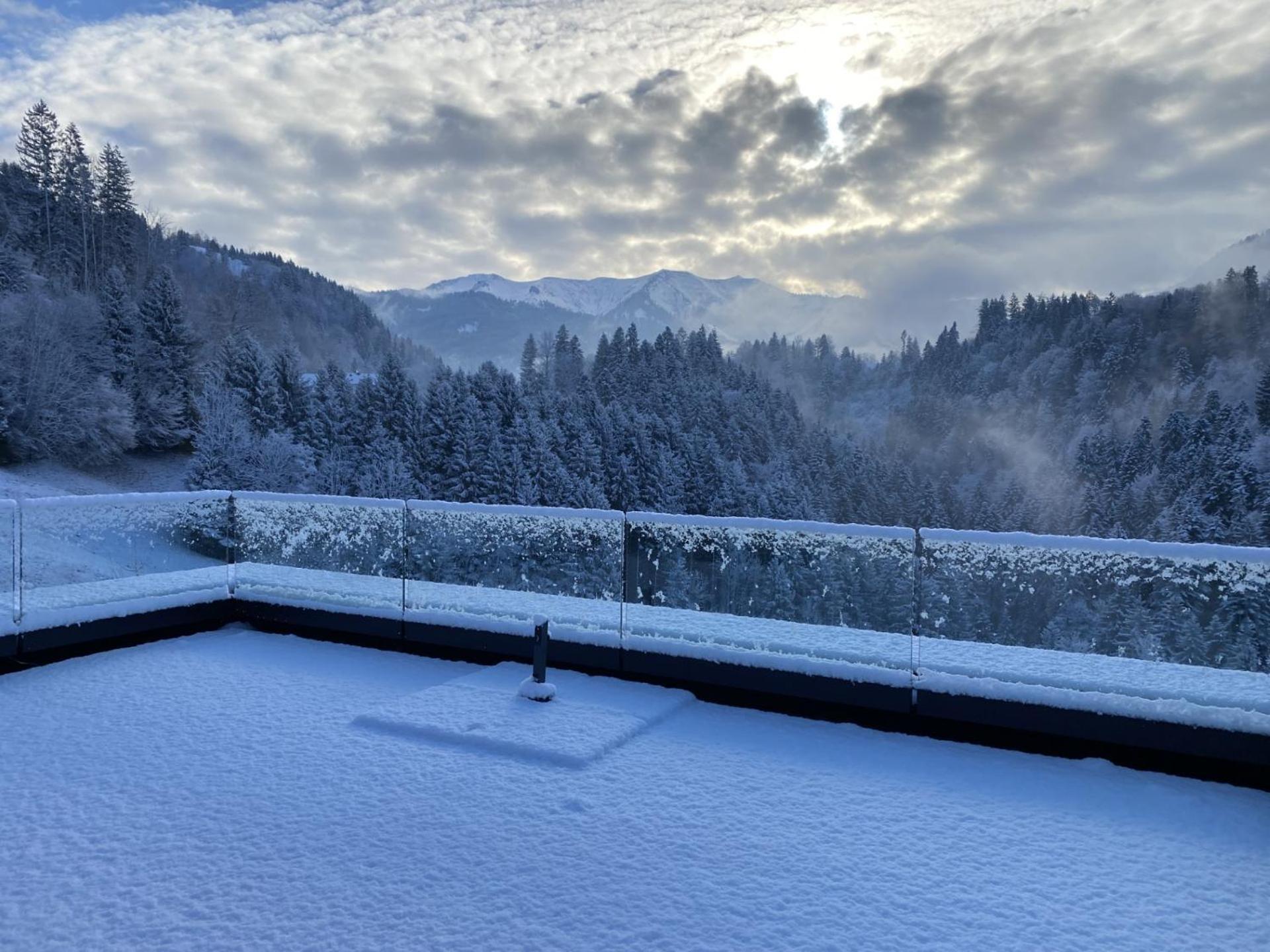 Wohnung Staufenblick Und Wohnung Firstblick Dornbirn Dış mekan fotoğraf