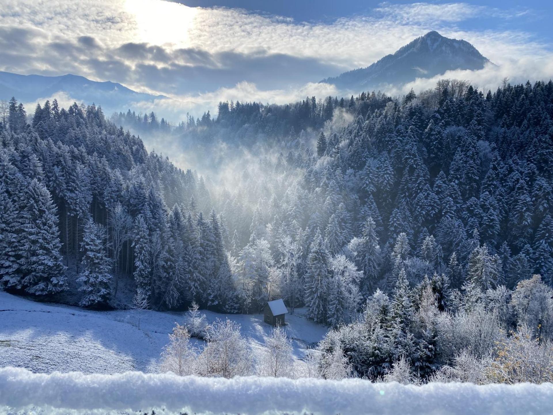Wohnung Staufenblick Und Wohnung Firstblick Dornbirn Dış mekan fotoğraf