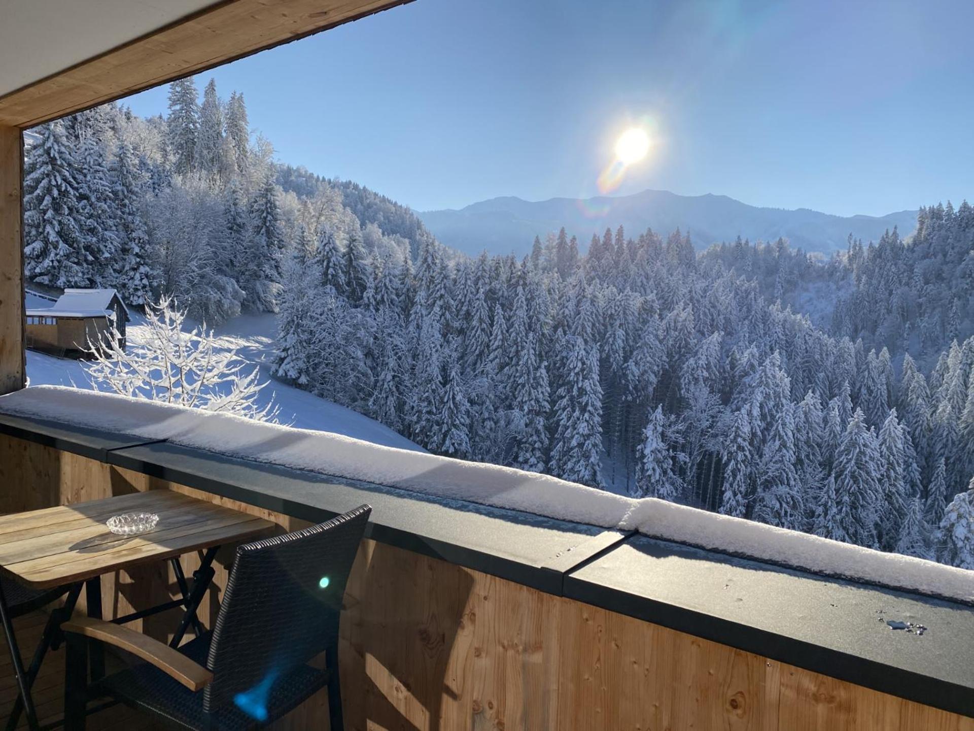 Wohnung Staufenblick Und Wohnung Firstblick Dornbirn Dış mekan fotoğraf