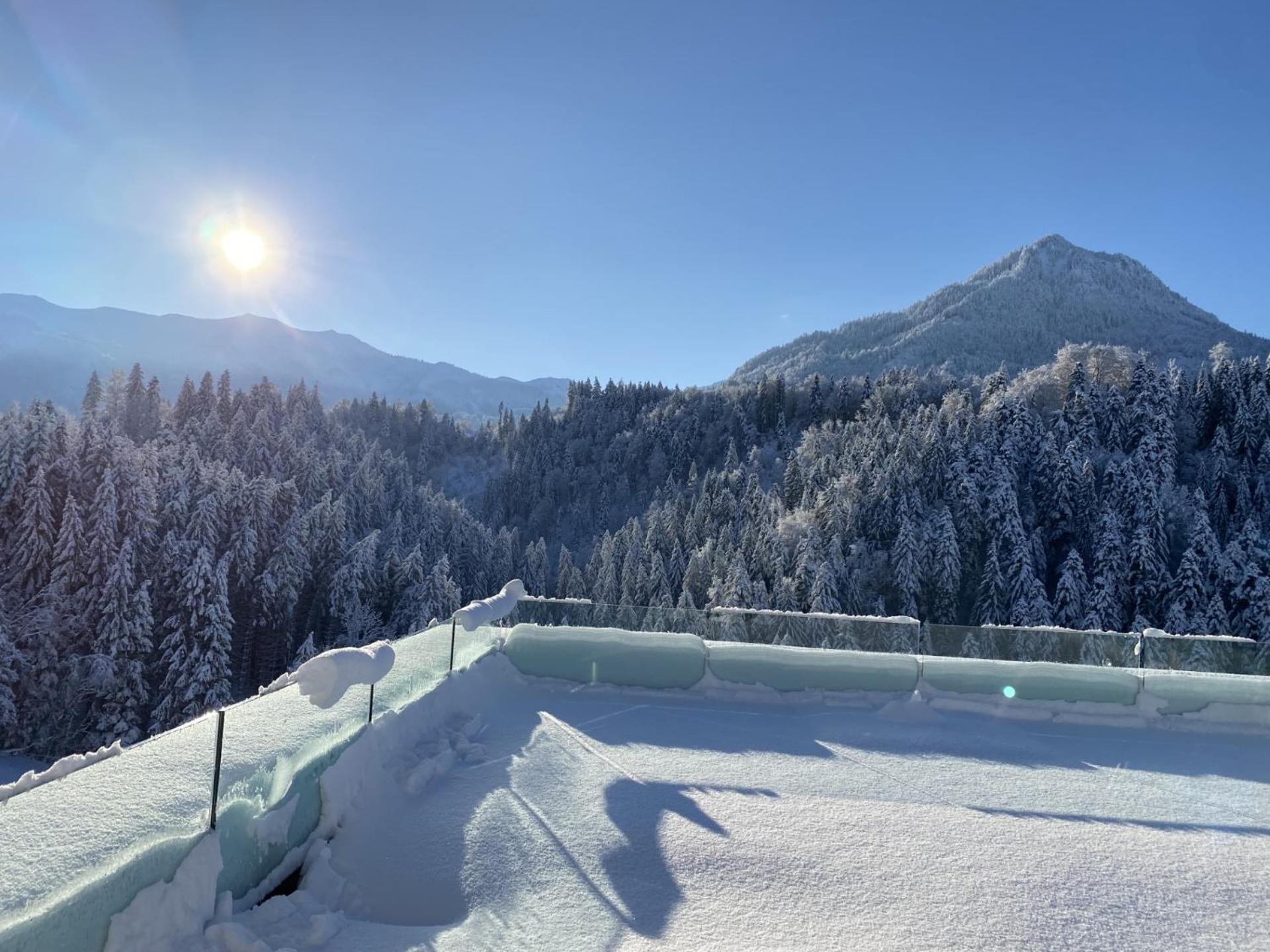Wohnung Staufenblick Und Wohnung Firstblick Dornbirn Dış mekan fotoğraf